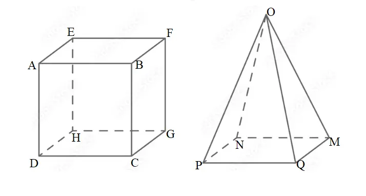 Vértices en poliedros