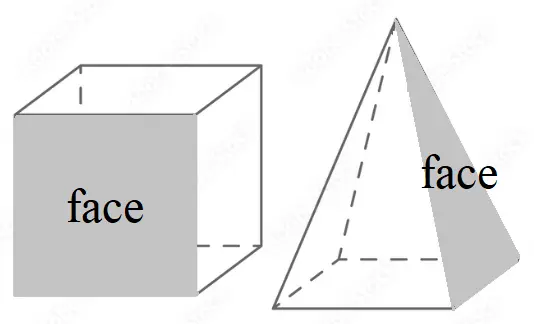 ¿Qué son las caras en geometría?